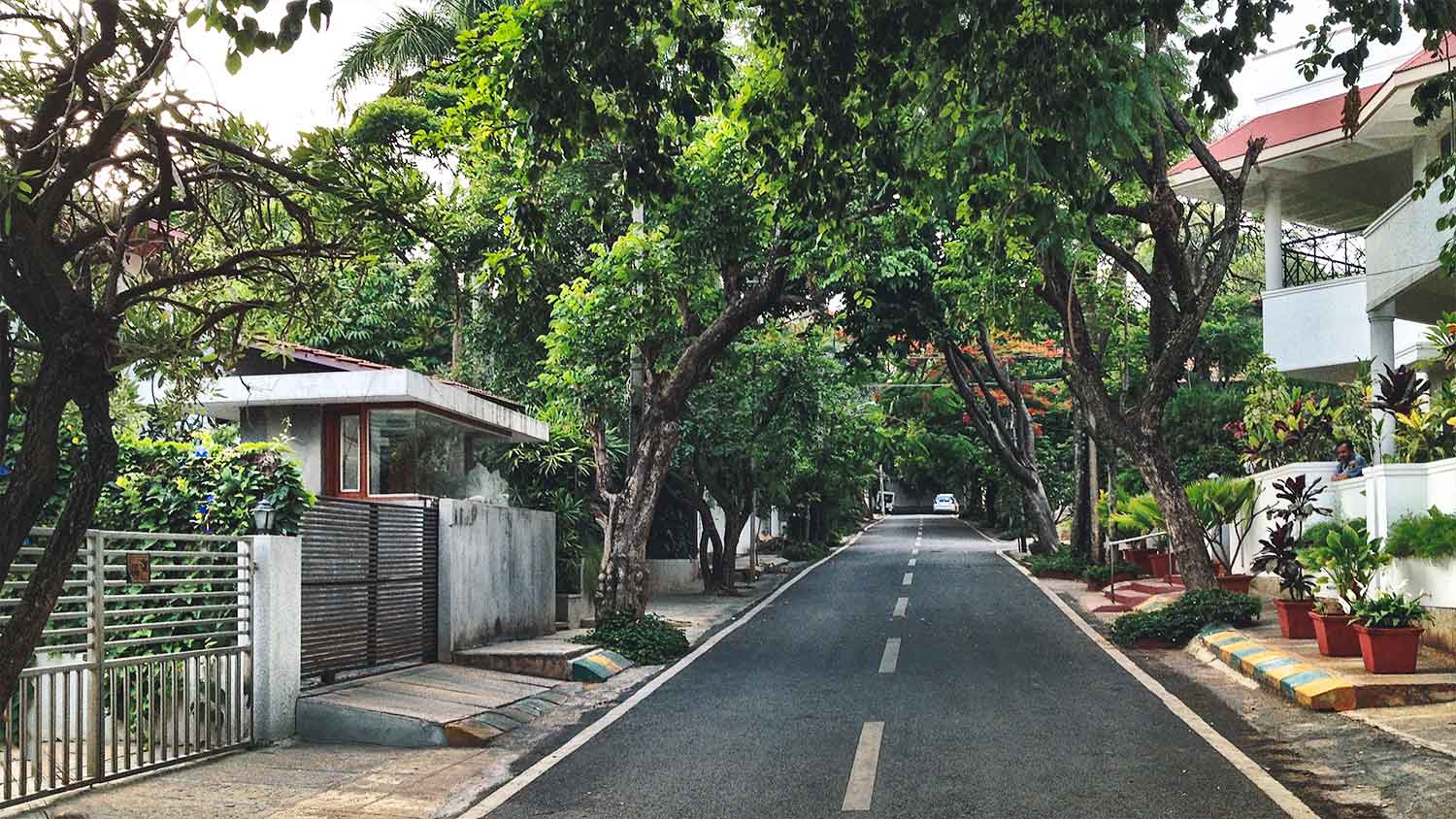 Bangalore Diary What's in a Name?