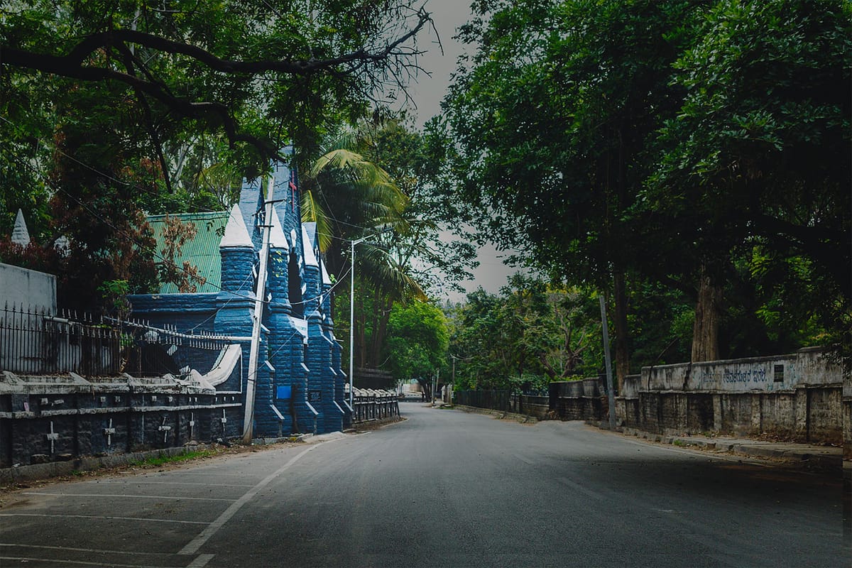 The Living, Among The Dead