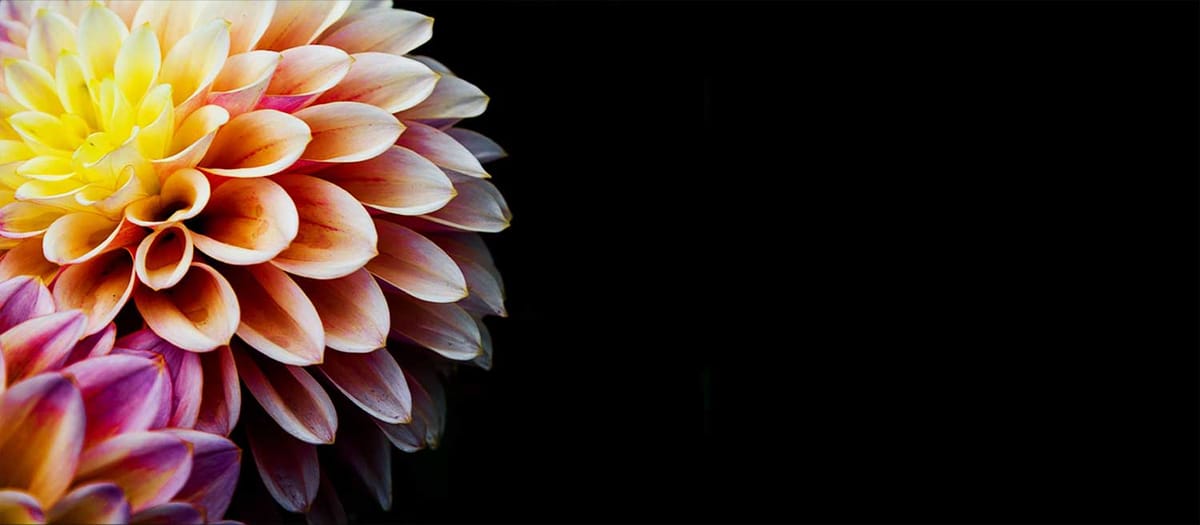 The Eleventh Day, A Dream