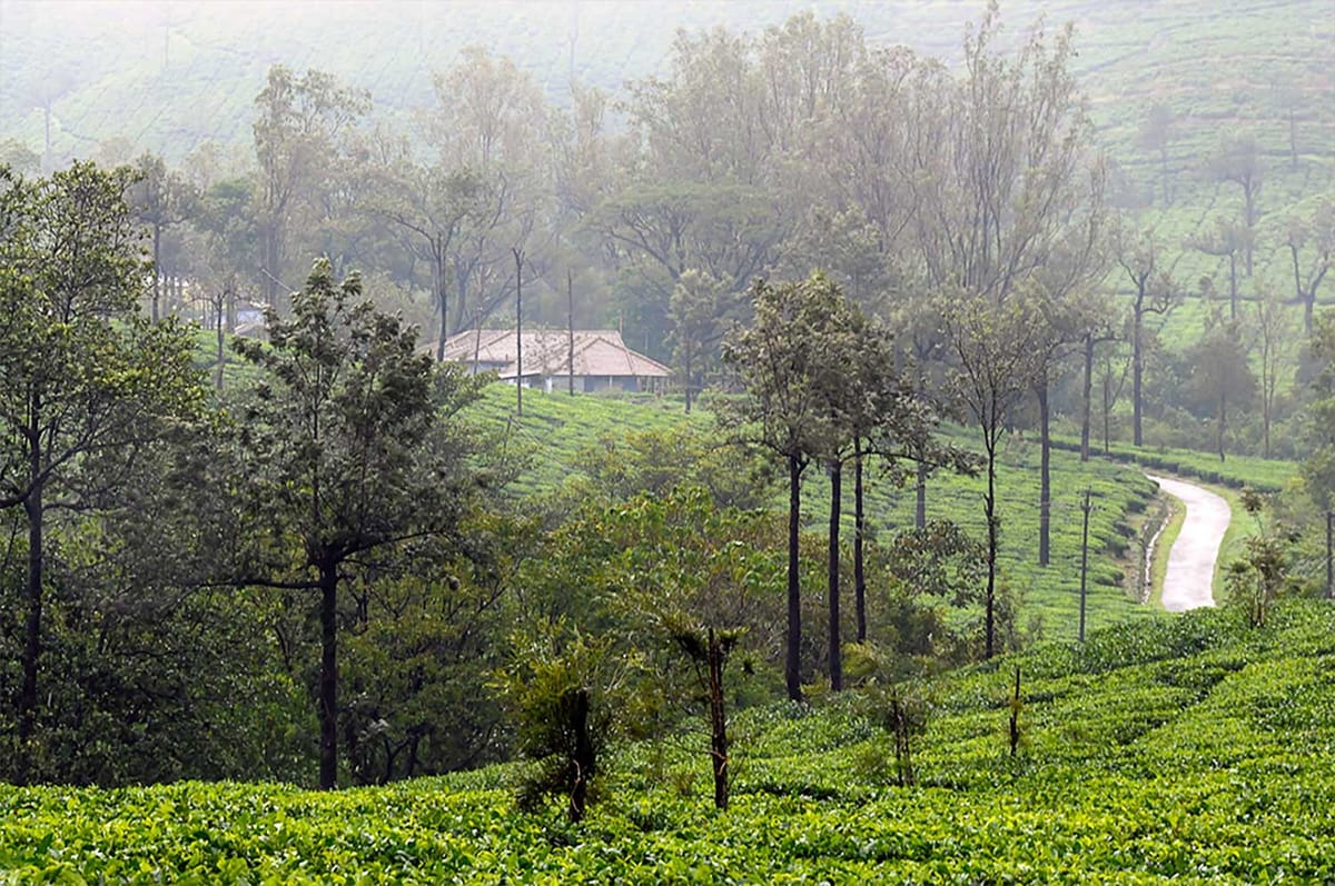 Kadumane Estate — A Giant Theater