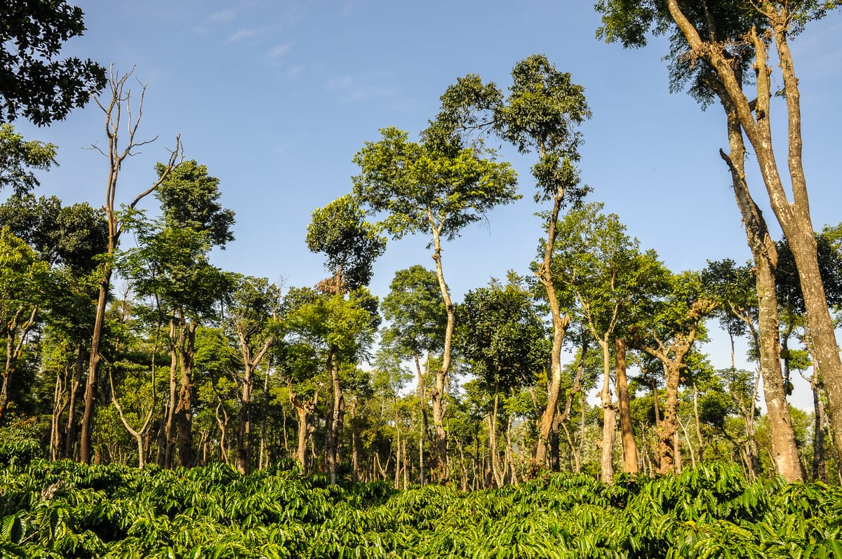 A Place That Cheered Us