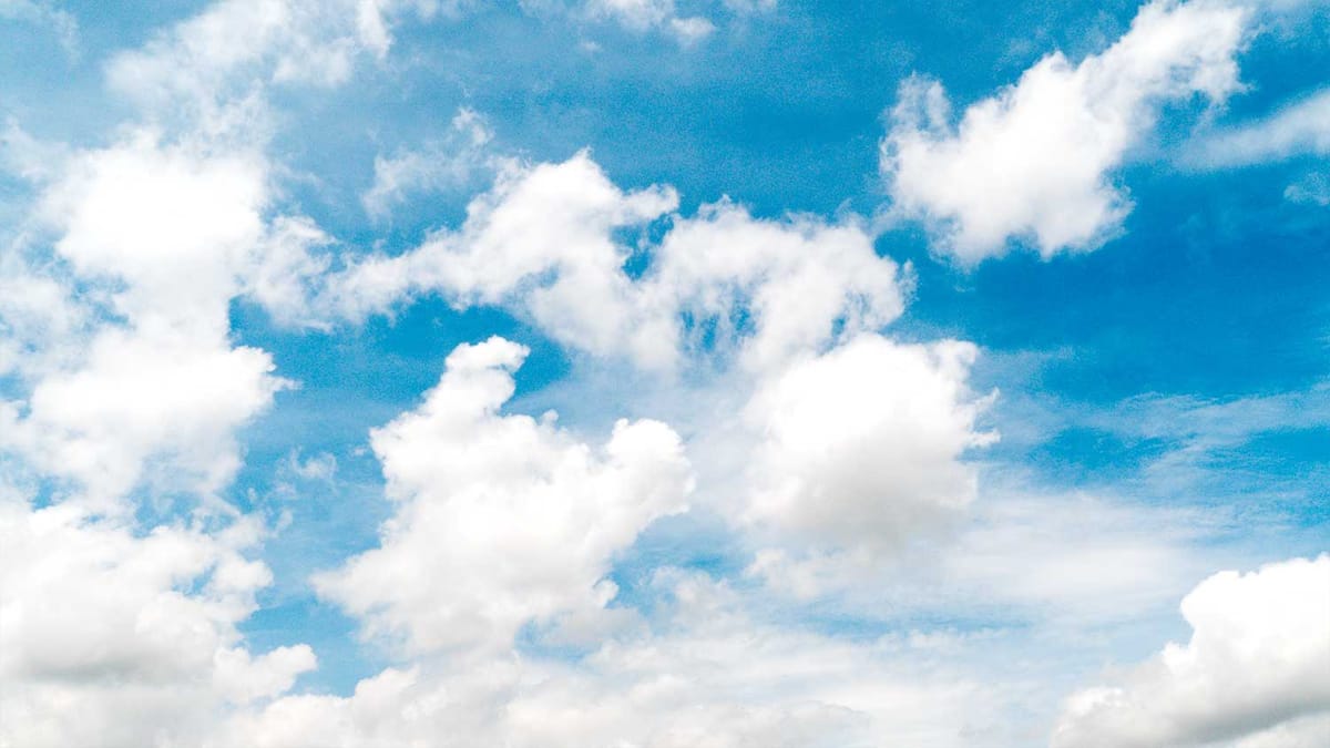 The Tempers This Summer