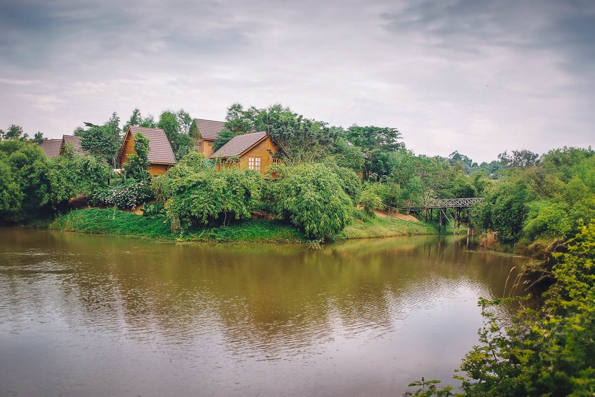 At a Pond in the Cardamom Mountains, Cambodia